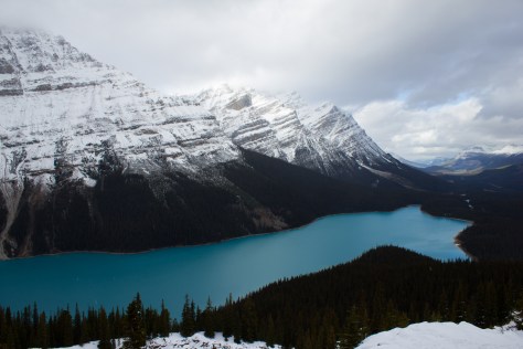 Peyto_Lake