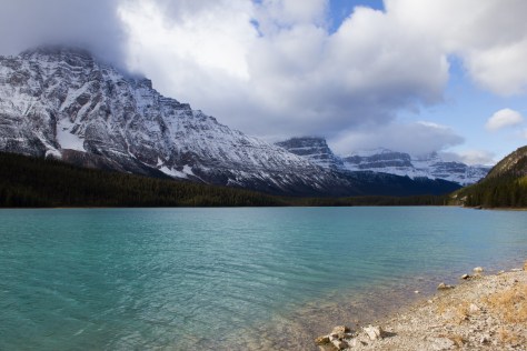 waterfowl_lake_1