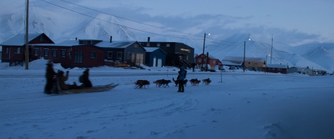 Svalbard_dog_sled