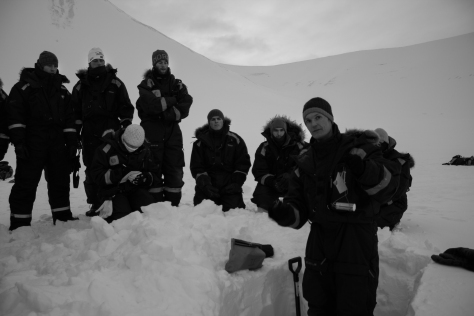 Svalbard_scott_turnerbreen_snowpit_density