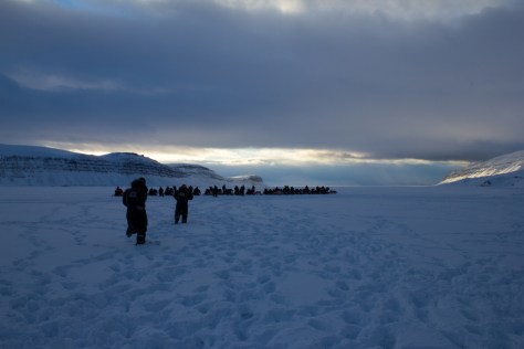 Svalbard_Tunabreen_27